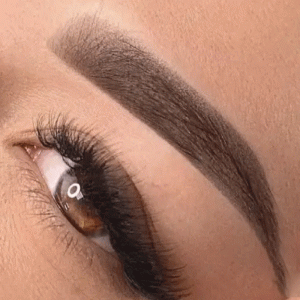 خرید سایه ابرو لیدی میکاپ